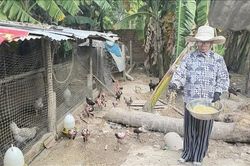 Đắk Lắk: 44 xã, phường đề nghị hoàn trả hơn 155 tỷ đồng hỗ trợ