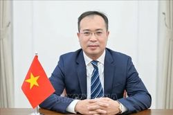 Tạo động lực để Việt Nam và Gruzia phát huy vai trò cầu nối