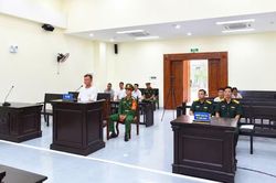 Cưa hạ 21 cây cao su của Binh đoàn 15, người đàn ông lĩnh án