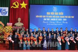 Cần Thơ phát huy đối ngoại nhân dân để kết nối nguồn lực phát triển