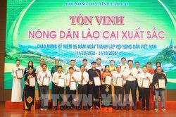 Lào Cai tôn vinh 96 nông dân xuất sắc năm 2026