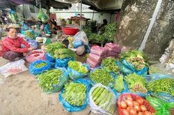 Giải pháp nào tăng nguồn cung rau củ khi thời tiết bất lợi?