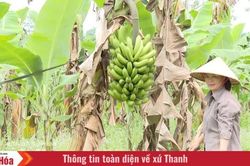Học kỹ thuật để đổi cách làm