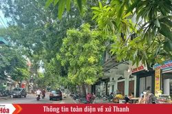 Phố sạch, ngõ đẹp