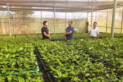 Nông dân Chư Sê ứng dụng công nghệ cao, nâng giá trị nông sản