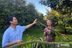 Nâng cao “sức khỏe” cho đất trồng trọt