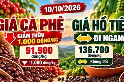 Giá cà phê, hồ tiêu hôm nay 10/10: Cà phê giảm sâu, hồ tiêu đi ngang