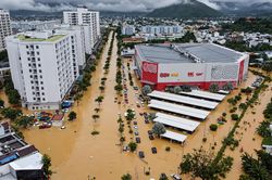 Cần giải pháp đồng bộ, căn cơ