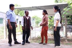 Những “bóng cả” ở vùng cao
