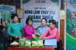 Chuyển đổi số ở Lào Cai: Lấy hiệu quả thực chất làm thước đo