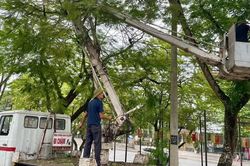 Nghĩa Lộ khẩn trương chỉnh trang đô thị, sẵn sàng đón mùa lễ hội Mường Lò