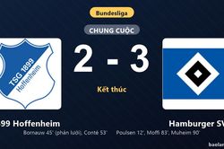 Thống kê trận đấu 1899 Hoffenheim 2-3 Hamburger SV: Hamburger SV ngược dòng ngoạn mục