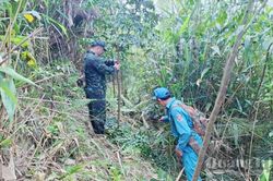Trồng rừng bản địa trên dãy Trường Sơn