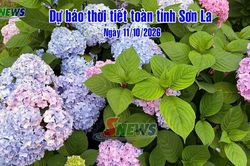 Dự báo thời tiết toàn tỉnh Sơn La ngày 11/10/2026