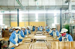 Dấu ấn kinh tế tư nhân
