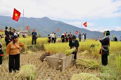 Lễ hội 'Mùa vàng - Làng nhà rêu' Xà Phìn năm 2026