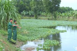 Chủ động tăng gia, cải thiện đời sống bộ đội