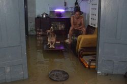 Triều cường sông Đồng Nai lập đỉnh cao nhất từ năm 1975, nhiều nơi ngập sâu