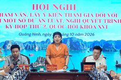 Đoàn ĐBQH thành phố Quảng Ninh tham vấn các dự án luật về đất đai, tài nguyên và môi trường