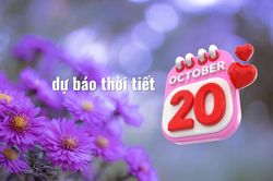 Dự báo thời tiết các khu vực dịp 20/10