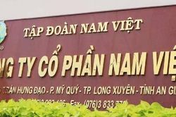 Thủy sản Nam Việt (ANV) chi hơn 266 tỷ đồng trả cổ tức, lợi nhuận bán niên sụt giảm do áp lực chi phí