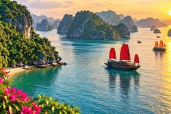 Sóng Hạ Long - tình yêu với mảnh đất đang vươn mình
