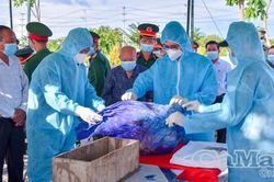 Những chiến sĩ áo trắng thầm lặng tìm tên liệt sĩ