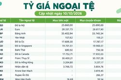 Tỷ giá ngoại tệ ngày 10/10: USD trên 26.000 đồng, KWD vượt 87.500 đồng