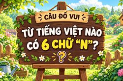 Một từ tiếng Việt có tới 6 chữ 'N', bạn đoán ra không?