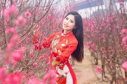 Bộ Nội vụ thông báo lịch nghỉ Tết Nguyên đán Đinh Mùi 2027