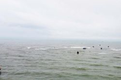 Tàu chìm, ngư dân bơi 8 tiếng trên biển vào bờ an toàn