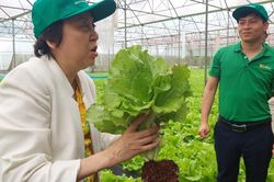637 người ngộ độc thực phẩm trong 9 tháng, TPHCM siết kiểm soát từ nguồn cung