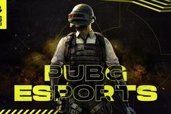 Báo Hàn Quốc: 'PUBG không thể xem nhẹ thị trường Việt Nam'
