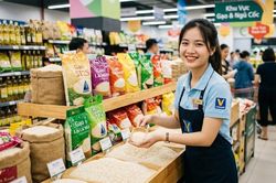 Giá lúa gạo hôm nay 11.10.2026: Chưa có động lực tăng mới