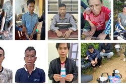 Liên tiếp triệt phá loạt vụ án ma túy, bắt giữ 11 đối tượng với hàng trăm viên hồng phiến