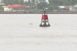 [Video] TP Hồ Chí Minh và miền Tây nguy cơ ngập sâu dài ngày do triều cường tháng 10