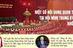 [Infographic] Một số nội dung quan trọng tại Hội nghị Trung ương 4 khóa XIV