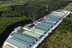 Gia Lai: Phát triển tổ hợp chăn nuôi công nghệ cao quy mô lớn