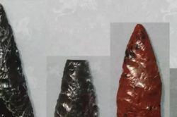 Tại sao người Paracas không dùng cung tên trong chiến tranh cổ đại?