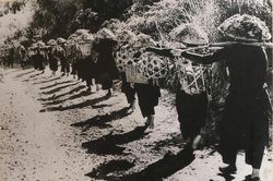 Chiến dịch Biên giới 1950: Phá thế bao vây, mở rộng vùng giải phóng