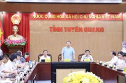 Tuyên Quang đặt mục tiêu tăng trưởng quý IV/2026 phải đạt ít nhất 15,04%