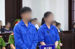 Cho giá đỗ 'tắm' hóa chất, 2 chủ cơ sở lĩnh án tù