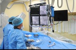 Người đàn ông cấp cứu khi đang làm vườn