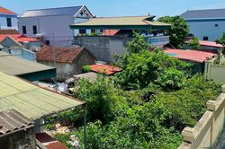 Đất có sổ đỏ từ 1996 ghi đất ở, đất vườn: Cấp đổi sổ có phải xác định lại đất ở?