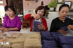 Gia Lai phát triển theo chiều sâu, mở rộng thị trường cho sản phẩm OCOP