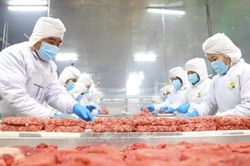 Tận dụng lợi thế CEPA, mở đường cho nông sản Việt vào UAE
