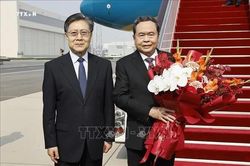 Tin nóng trong nước ngày 11/10/2026
