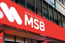 MSB tăng vốn giữa lúc dòng tiền cho vay tăng mạnh