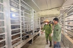Tổng vệ sinh, tiêu độc phòng dịch bệnh vật nuôi