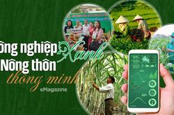 Nông nghiệp xanh và nông thôn thông minh